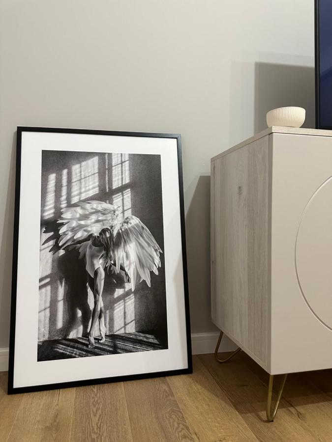 Apartament Bisera Timişoara Extérieur photo